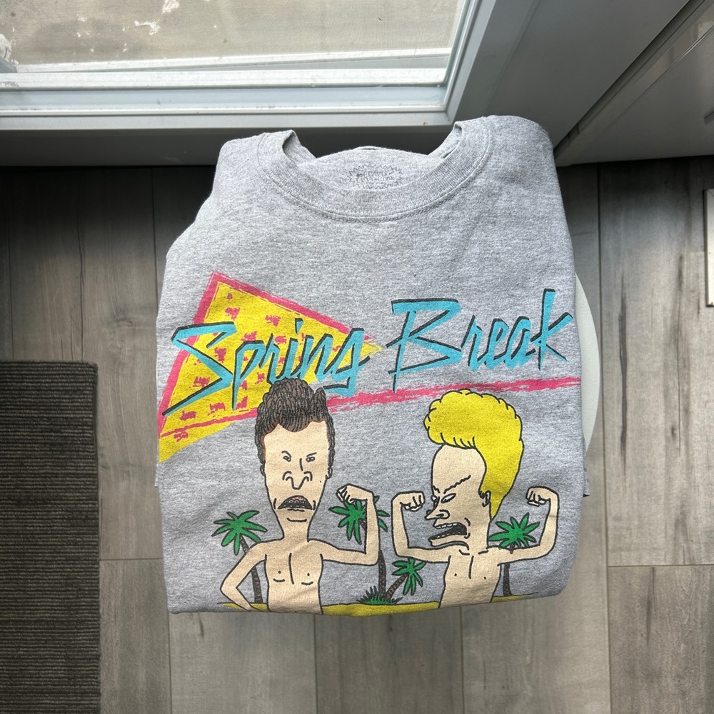 Vintage MTV Beavis and Butthead Spring Break T-shirt